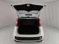 Fiat Panda Panda 1.2 Easy s&s 69cv (Br) Bianco - thumbnail 8