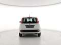 Fiat Panda Panda 1.2 Easy s&s 69cv (Br) Bianco - thumbnail 5