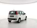 Fiat Panda Panda 1.2 Easy s&s 69cv (Br) Bianco - thumbnail 6