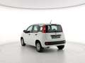 Fiat Panda Panda 1.2 Easy s&s 69cv (Br) Bianco - thumbnail 10