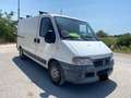 Fiat Ducato Blanc - thumbnail 2