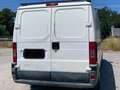 Fiat Ducato Blanc - thumbnail 4
