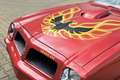 Pontiac Trans Am Firebird 455 cid Big Block (Frame Off!) Červená - thumbnail 5