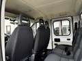 Fiat D.Cab 7 Posti 2.0 mjt 115cv 6m E6 Blanc - thumbnail 20