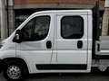 Fiat D.Cab 7 Posti 2.0 mjt 115cv 6m E6 Blanc - thumbnail 8