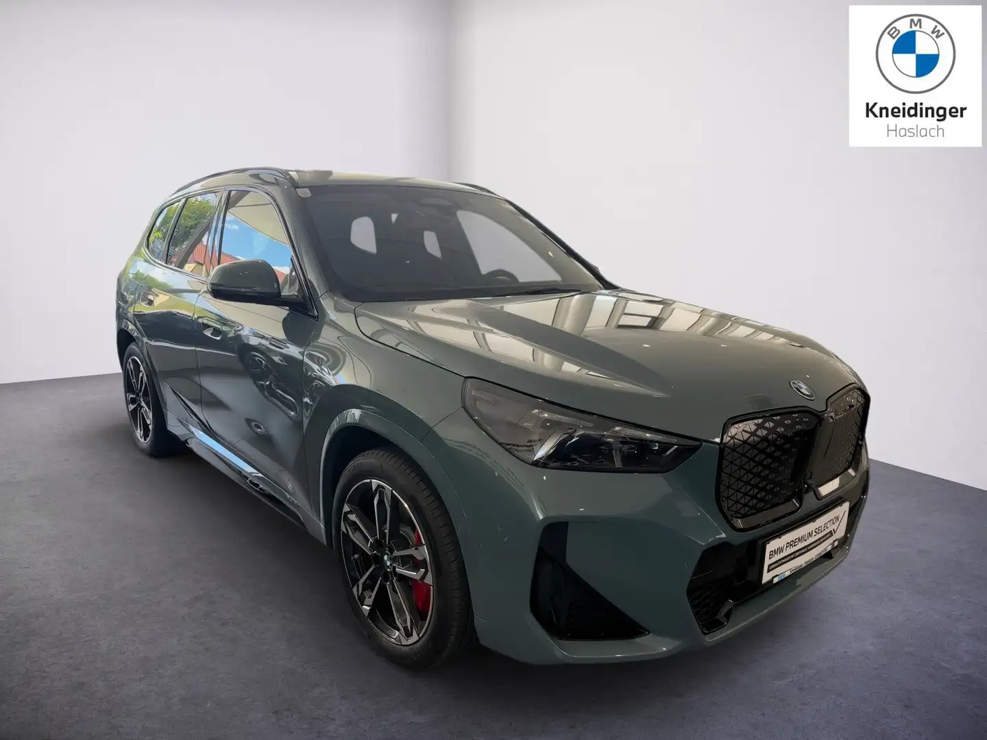BMW iX1 xDrive30 Grün - 1
