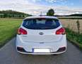 Kia Ceed / cee'd 1.4 CVVT Comfort Alb - thumbnail 5