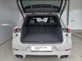 Porsche Cayenne S E-Hybrid Black Edition Grau - thumbnail 27