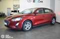 Ford Focus 1.5 EcoBlue 120 CV 5p. Business Rosso - thumbnail 3