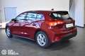 Ford Focus 1.5 EcoBlue 120 CV 5p. Business Rosso - thumbnail 6