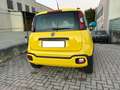 Fiat Panda Panda III 2016 1.2 City Cross s UNICO PROPRIETARIO Giallo - thumbnail 4
