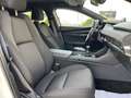 Mazda 3 2.0 e-Skyactiv-G Homura 90kW Blanco - thumbnail 9