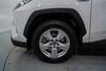Toyota RAV 4 2.5 hybrid 2WD Business Blanc - thumbnail 11