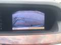 Mercedes-Benz S 320 S 320 CDI 4-Matic Gris - thumbnail 26