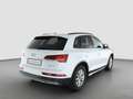 Audi Q5 35 TDI Adv. S tronic *AHK*NAV+*Virt.C+*SHZ* Weiß - thumbnail 2