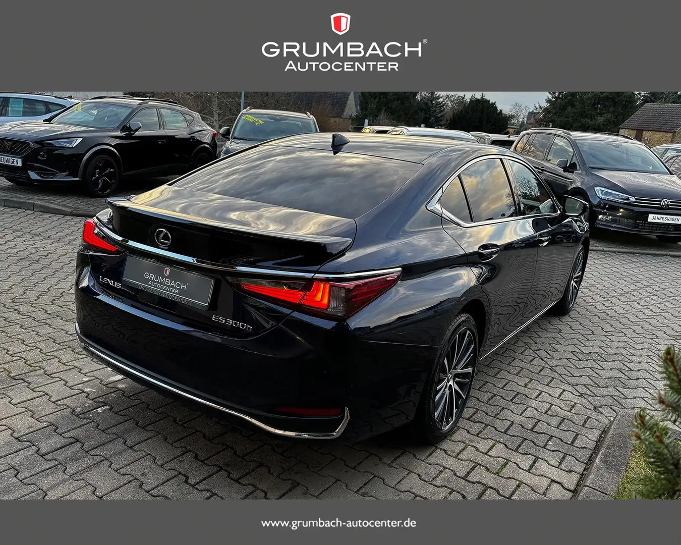 Lexus ES 300 300h 2.5 l-Hybrid Business Line 160 kW (218 PS)... Blue - 2