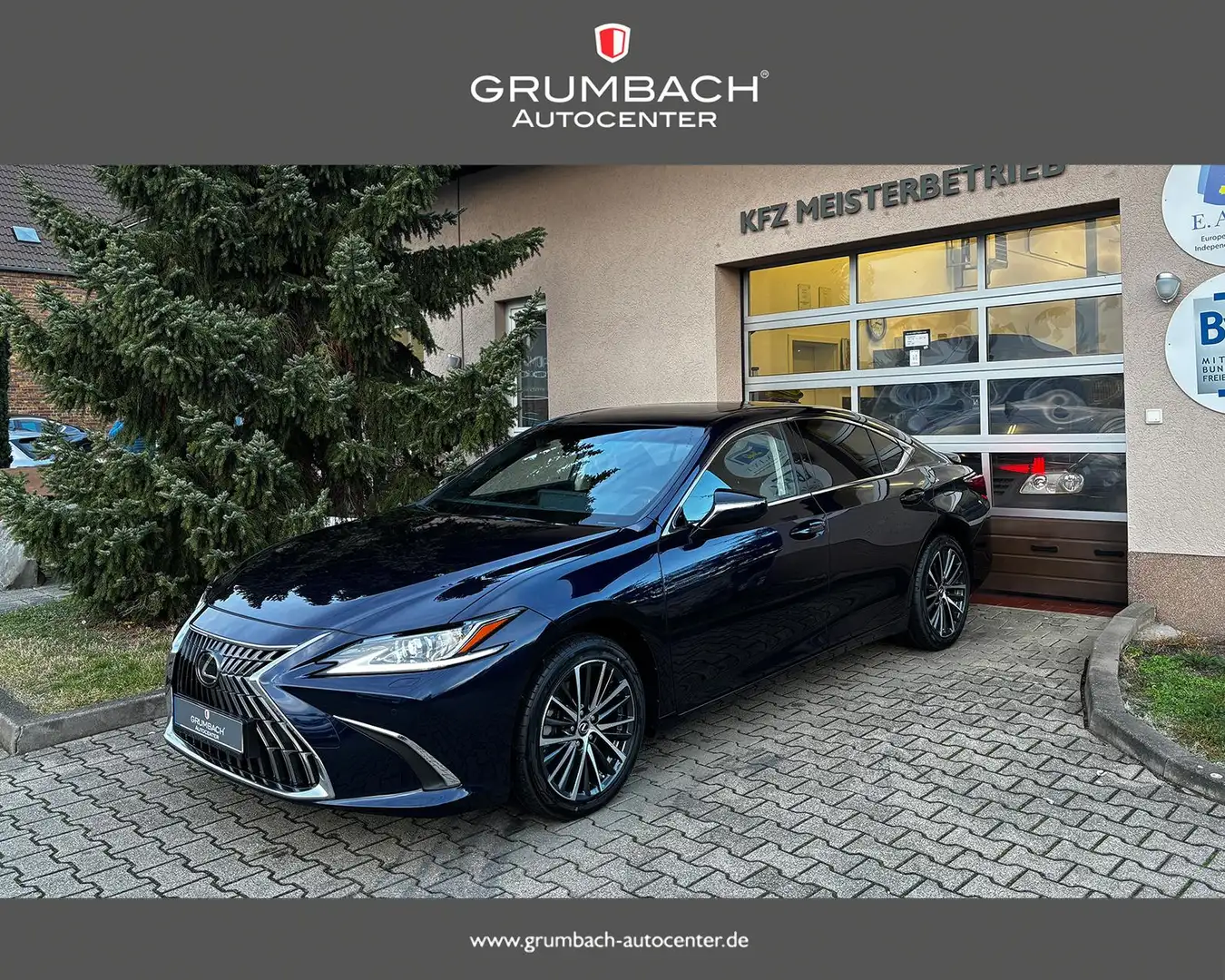 Lexus ES 300 300h 2.5 l-Hybrid Business Line 160 kW (218 PS)... Azul - 1