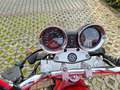 Suzuki Bandit 600 Rot - thumbnail 11