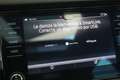 Skoda Kodiaq 2.0 TDI 110KW (150cv) DSG 4x2 Ambition Gris - thumbnail 22