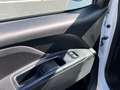 Fiat Doblo Doblò Basis Kasten*AHK* Weiß - thumbnail 15