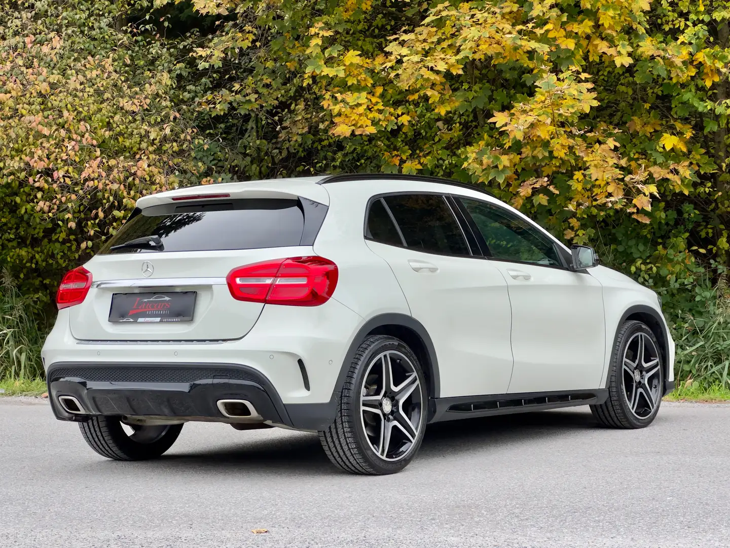 Mercedes-Benz GLA 220 GLA 220 CDI / d 4Matic AMG*AUT*LEDER*LED*NAVI* Wit - 2