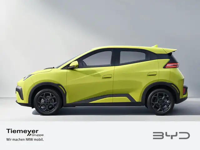 Byd Dolphin Surf view 2