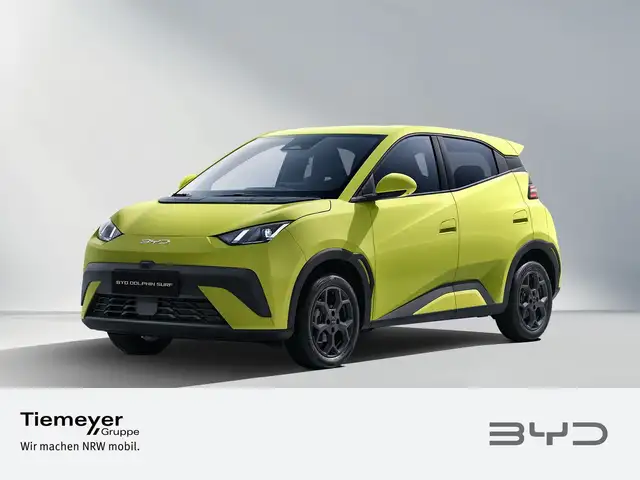 Byd Dolphin Surf in Green for sale