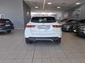 Jaguar E-Pace Hybrid/Diesel Autocarro IVA COMPRESA - thumbnail 5