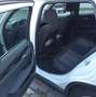 BMW X1 X1 xDrive20d Aut. Weiß - thumbnail 10