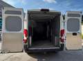 Fiat Ducato Ducato 30 L1H1 130 Panorama Panorama Weiß - thumbnail 7