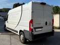 Fiat Ducato Ducato 30 L1H1 130 Panorama Panorama Weiß - thumbnail 5