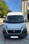 Fiat Ducato Ducato 30 L1H1 130 Panorama Panorama Weiß - thumbnail 1