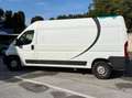 Fiat Ducato Ducato 30 L1H1 130 Panorama Panorama Weiß - thumbnail 6