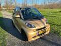 smart forTwo Cabrio Edition Ten - Nr. 2 Ned. Auto Bronzová - thumbnail 2