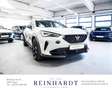CUPRA Formentor VZ5 EDITION TAIGA GREY CARBON/PANO/360° Grau - thumbnail 5