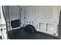 Ford Transit Kasten 350 L2 Trend 2.0 TDCi DPF EU6d, GJR Blanc - thumbnail 17