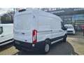 Ford Transit Kasten 350 L2 Trend 2.0 TDCi DPF EU6d, GJR Blanc - thumbnail 3