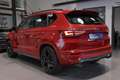 CUPRA Ateca 2.0 TSI DSG 4Drive *ACC*AHK*CAM*SHZ*NAVI* Rojo - thumbnail 3
