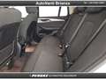BMW X3 X3 xDrive20d 48V Business Bianco - thumbnail 12
