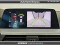 BMW X3 X3 xDrive20d 48V Business Bianco - thumbnail 13
