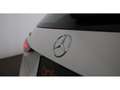 Mercedes-Benz C 300 T e AMG-Line Aut LED AHK LEDER NAVI MEMORY Weiß - thumbnail 8