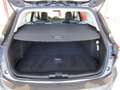 Ford Focus 1.0 EcoBoost 125 CV SW VIGNALE Grigio - thumbnail 10