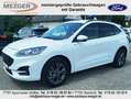 Ford Kuga Plug-In Hybrid ST-Line X Blanc - thumbnail 2