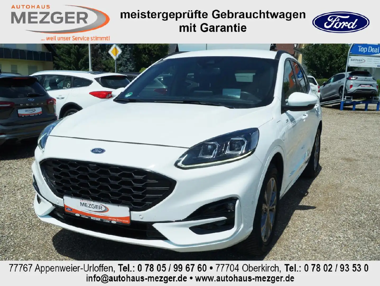 Ford Kuga Plug-In Hybrid ST-Line X Blanc - 1