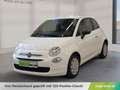 Fiat 500 FireFly Hybrid 70 Cult Weiß - thumbnail 1