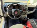 Fiat Panda 1.3 MJT S&S Pop Van 2 posti Blanco - thumbnail 9