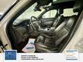 Land Rover Range Rover Velar SE Mega Ausstattung* 2 Hand* 3,0L Panorama Bianco - thumbnail 15