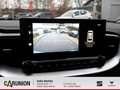 Kia Ceed / cee'd 1.5T DCT VISION *KLIMA*KAMERA*NAVI* Groen - thumbnail 11