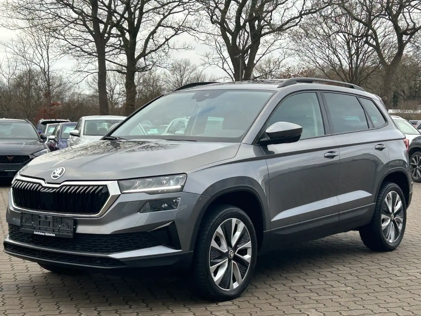 Skoda Karoq 2.0 TDI Style °Pano°VC°Matrix° Grau - 1