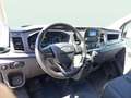 Ford Transit FT 350 Chasis Cabina 2.0 EcoBlue L4 Trend Blanco - thumbnail 8